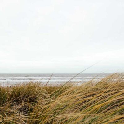 Elements Ultra Thin Rice Papers