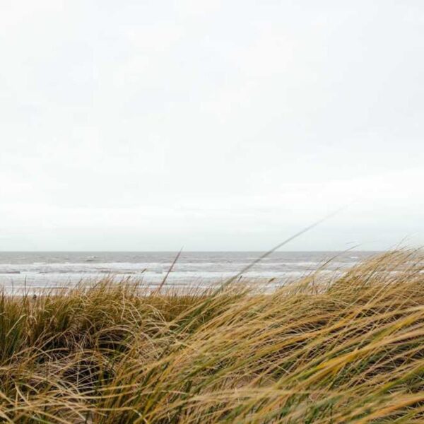 Elements Ultra Thin Rice Papers