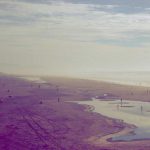 Filtro de Vidro Reutilizável Premium - 2