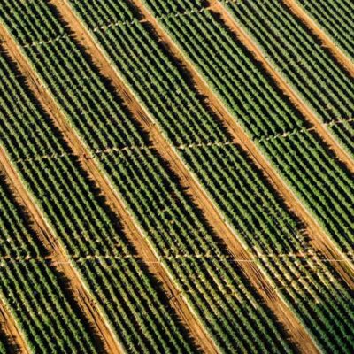 Juicy Jay's Sabores Variados