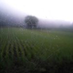 Juicy Jay's Sabores Variados