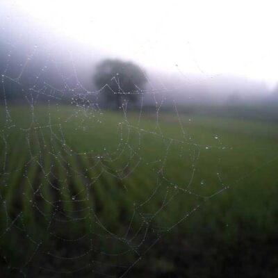 Juicy Jay's Sabores Variados