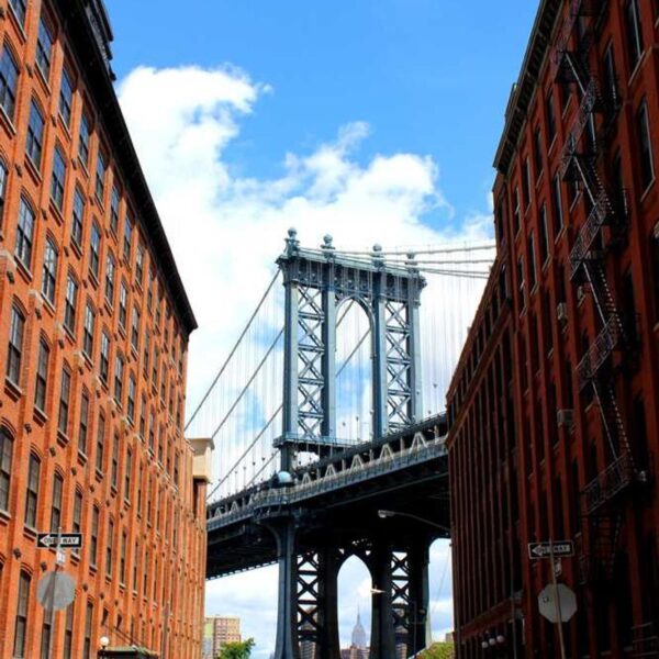 Kit Starter PuffCulture