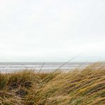 OCB Premium Slim + Filtros - 1